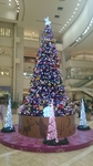 20141125005436421.jpg