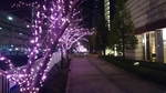 20141215122637766.jpg