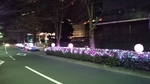 20141215122649195.jpg