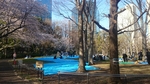 20150402224452231.jpg