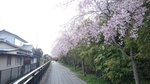 20150412183205135.jpg