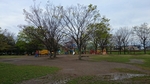20150412183309945.jpg