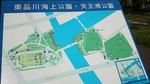 20150504204637629.jpg