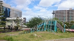 20150504204710156.jpg