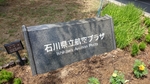 20150618120137338.jpg