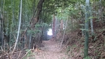 20150626075441932.jpg
