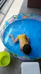 20150629124142135.jpg
