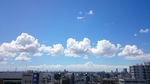 20150715135306183.jpg