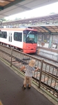 20150810163616455.jpg