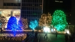 20151221125705202.jpg