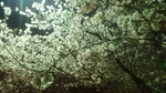 20160404013424423.jpg
