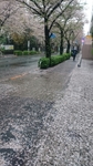 20160407232500081.jpg