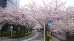 20160408010328590.jpg