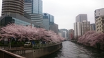 20160408010337647.jpg