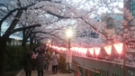 20160408010509963.jpg