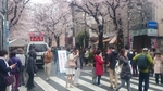 20160408010931447.jpg
