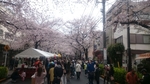 20160408010941491.jpg