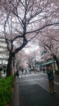 20160408010958685.jpg