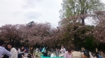 20160409205207573.jpg