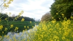 20160416181545735.jpg