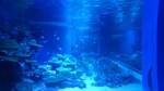 20160522074041824.jpg