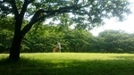 20160523091339288.jpg