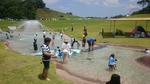 20160531123528502.jpg