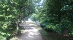 20160612211533660.jpg