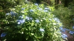 20160612211551269.jpg