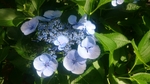 20160612211600490.jpg