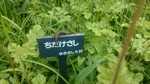 20160612212228061.jpg