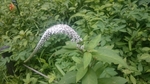 20160612212248777.jpg