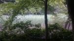 20160612212258732.jpg