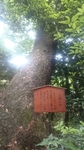 20160612212308491.jpg