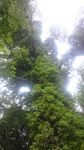 20160612212339941.jpg