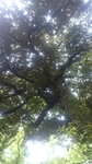 20160612212345954.jpg