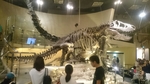 20160627131624366.jpg
