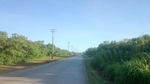 20160918214830368.jpg
