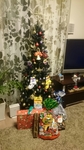 20161225093953414.jpg