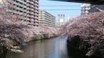 20170407085532738.jpg