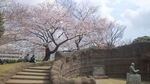 20170407085544351.jpg