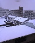 iF20060121.jpg