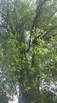 万葉公園01.jpg