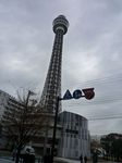 P1030806.jpg