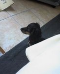 coco1.jpg