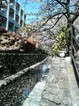 200904101111000.jpg
