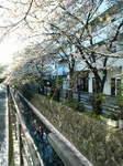 200904100902000.jpg