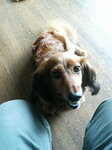 200908131124000.jpg