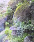 kaseiro03.jpg