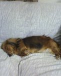 mu_20060101_1.jpg